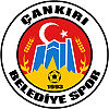 Cankiri Belediye team logo