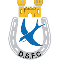 Dungannon Swifts team logo