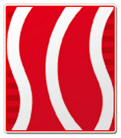 Selongey team logo