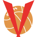 Vidir team logo