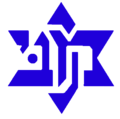 Maccabi Irony Ata team logo