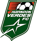 Hankook Verdes team logo