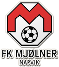 Mjolner team logo