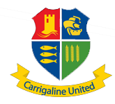 Carrigaline United team logo