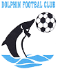 Dolphin team logo