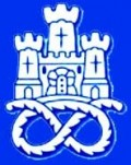 Newcastle Town team logo