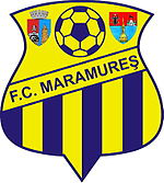 FCMU Baia Mare team logo