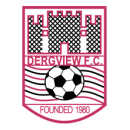 Dergview team logo
