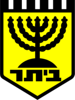 Beitar Kfar Saba team logo