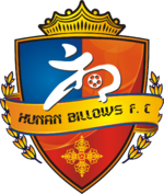 Hunan Xiangtao team logo