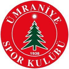Umraniyespor team logo