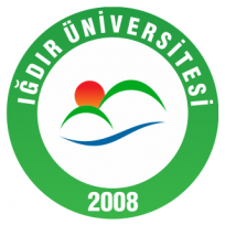 Igdir Universitesi team logo