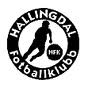 Hallingdal team logo
