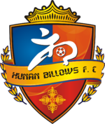 Hunan Billows FC team logo