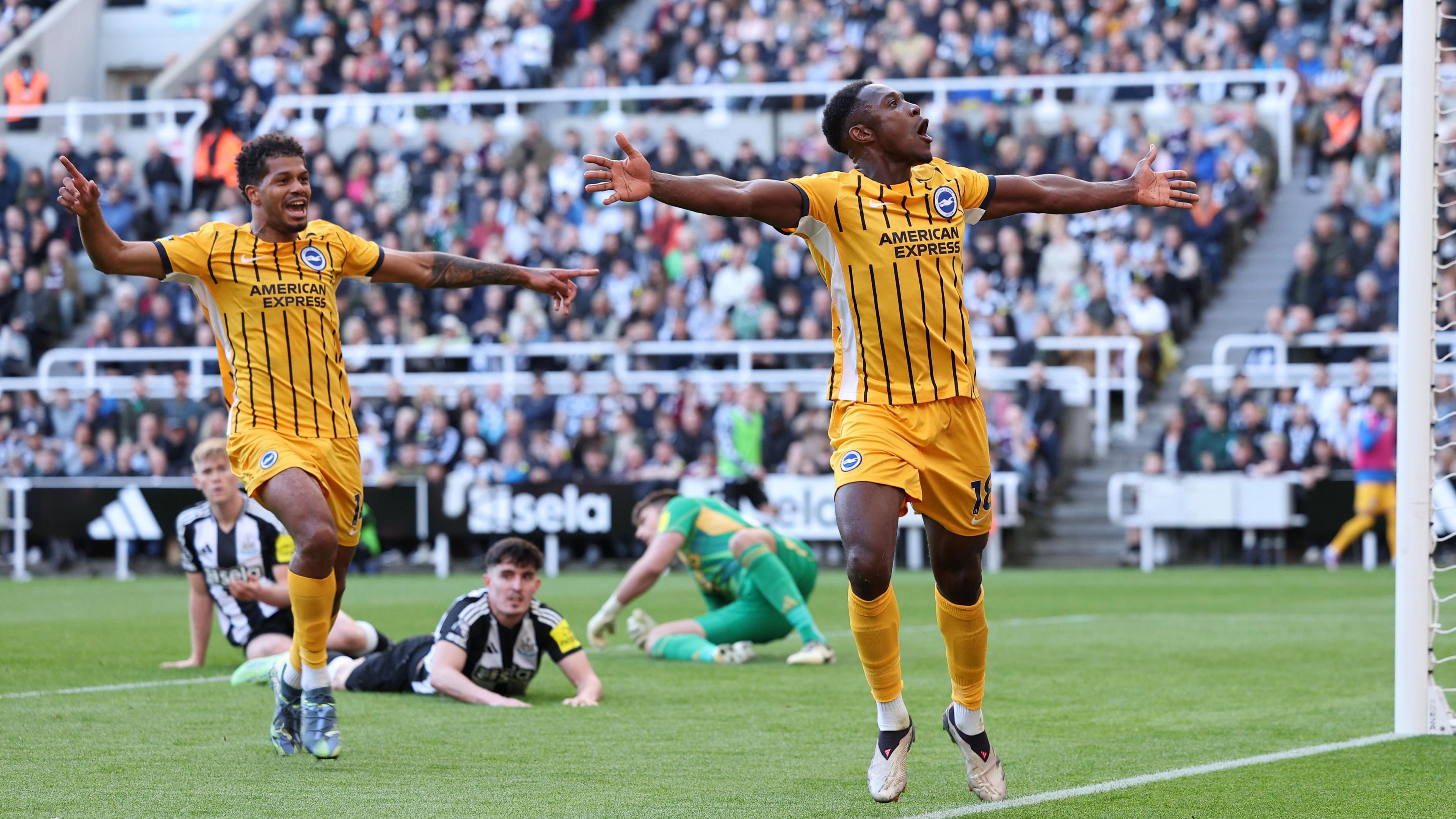Brighton vs Newcastle