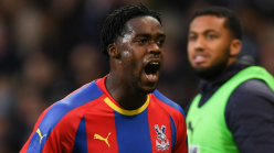 Schlupp and Zaha in contention for Tottenham Hotspur game – Crystal Palace boss Hodgson