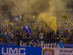 Light It Up! US side announces partnership with cannabis dispensary